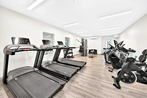 2314-4641 128 Avenue Ne, Calgary, AB - Indoor Photo Showing Gym Room