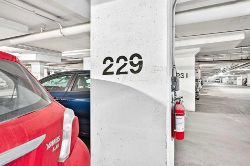 2314-4641 128 Avenue Ne, Calgary, AB - Indoor Photo Showing Garage