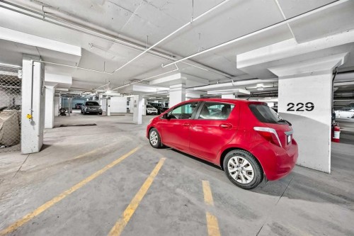 2314-4641 128 Avenue Ne, Calgary, AB - Indoor Photo Showing Garage