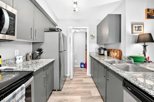 2314-4641 128 Avenue Ne, Calgary, AB - Indoor Photo Showing Kitchen With Double Sink With Upgraded Kitchen