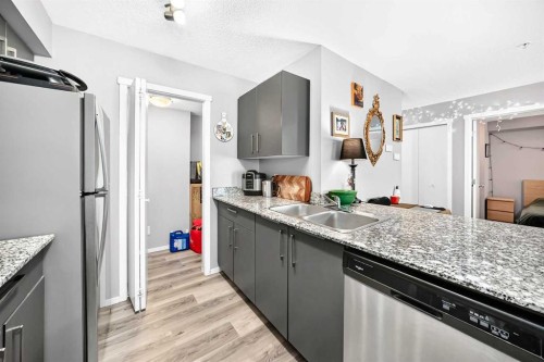 2314-4641 128 Avenue Ne, Calgary, AB - Indoor Photo Showing Kitchen With Double Sink