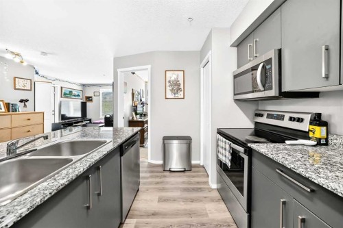 2314-4641 128 Avenue Ne, Calgary, AB - Indoor Photo Showing Kitchen With Double Sink