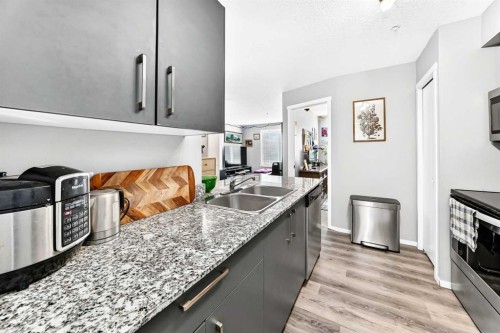 2314-4641 128 Avenue Ne, Calgary, AB - Indoor Photo Showing Kitchen With Double Sink With Upgraded Kitchen
