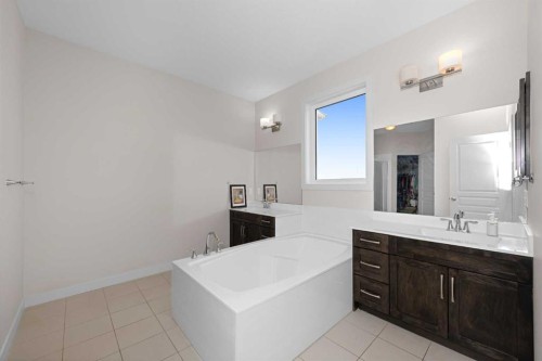 62 Redstone Mews Ne, Calgary, AB - Indoor Photo Showing Bathroom