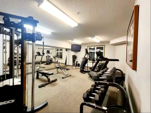 411-160 Kananaskis Way, Canmore, AB - Indoor Photo Showing Gym Room