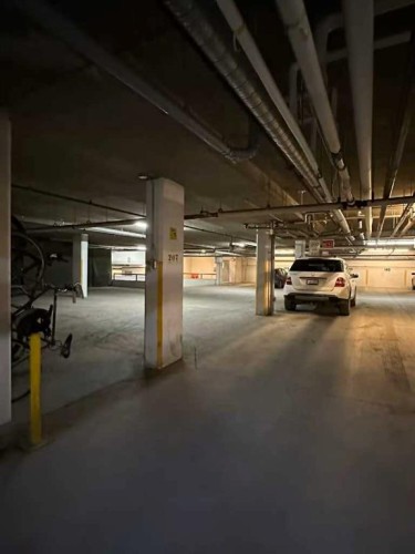 411-160 Kananaskis Way, Canmore, AB - Indoor Photo Showing Garage