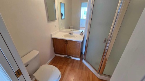 155 Applefield Close Se, Calgary, AB - Indoor Photo Showing Bathroom