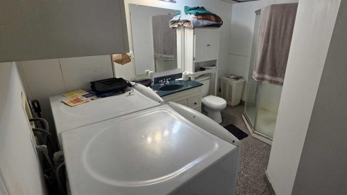 155 Applefield Close Se, Calgary, AB - Indoor Photo Showing Laundry Room