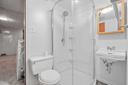 13 Tipton Place Nw, Calgary, AB - Indoor Photo Showing Bathroom