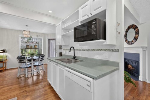 37 Beddington Gardens Ne, Calgary, AB - Indoor Photo Showing Kitchen With Double Sink