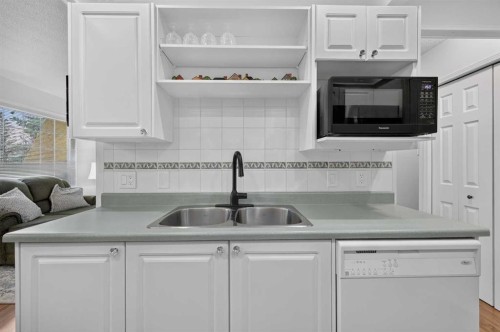 37 Beddington Gardens Ne, Calgary, AB - Indoor Photo Showing Kitchen With Double Sink