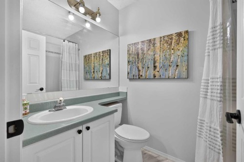 37 Beddington Gardens Ne, Calgary, AB - Indoor Photo Showing Bathroom