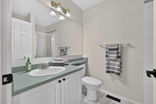 37 Beddington Gardens Ne, Calgary, AB - Indoor Photo Showing Bathroom