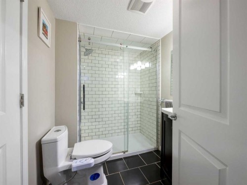 367 Auburn Crest Way Se, Calgary, AB - Indoor Photo Showing Bathroom