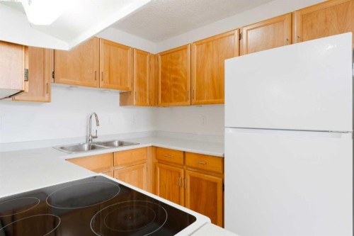 23-420 Grier Avenue Ne, Calgary, AB - Indoor Photo Showing Kitchen With Double Sink