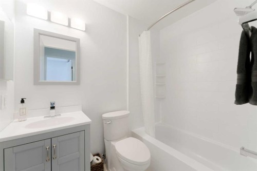 23-420 Grier Avenue Ne, Calgary, AB - Indoor Photo Showing Bathroom