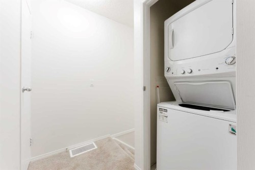 23-420 Grier Avenue Ne, Calgary, AB - Indoor Photo Showing Laundry Room