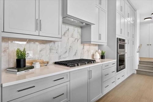 102-150 Marina Cove Se, Calgary, AB - Indoor Photo Showing Kitchen With Upgraded Kitchen