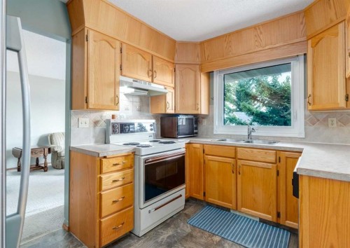 7919 Silver Springs Road Nw, Calgary, AB - Indoor Photo Showing Kitchen With Double Sink