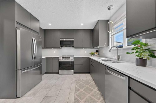 39 Midridge Gardens Se, Calgary, AB - Indoor Photo Showing Kitchen With Stainless Steel Kitchen With Double Sink With Upgraded Kitchen