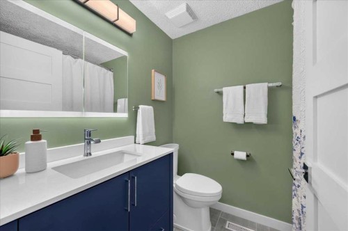 39 Midridge Gardens Se, Calgary, AB - Indoor Photo Showing Bathroom