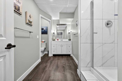 76-16044 258 Avenue East, Rural Foothills County, AB - Indoor Photo Showing Bathroom