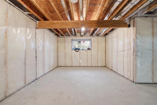 34 Belvedere Green Se, Calgary, AB - Indoor Photo Showing Basement