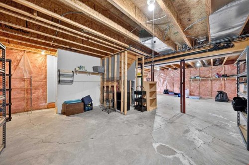 74 Anaheim Gardens Ne, Calgary, AB - Indoor Photo Showing Basement