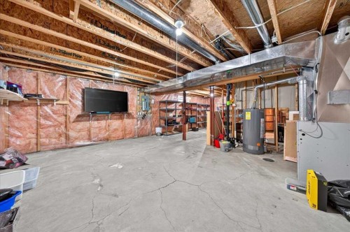 74 Anaheim Gardens Ne, Calgary, AB - Indoor Photo Showing Basement