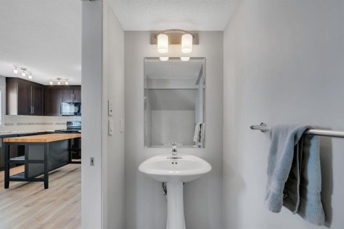 406 Mckenzie Towne Close Se, Calgary, AB - Indoor Photo Showing Bathroom
