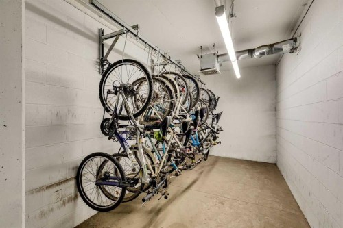 504-1020 9 Avenue Se, Calgary, AB - Indoor Photo Showing Garage
