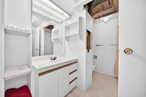 6437 Coach Hill Road Sw, Calgary, AB - Indoor Photo Showing Bathroom