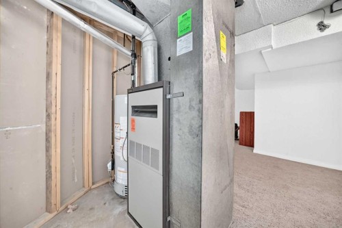 6437 Coach Hill Road Sw, Calgary, AB - Indoor