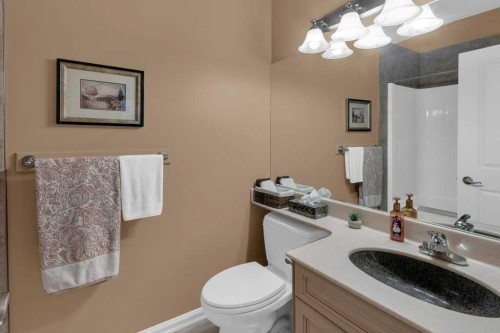 9 Tanner Close Se, Airdrie, AB - Indoor Photo Showing Bathroom