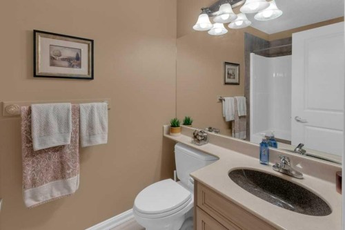 9 Tanner Close Se, Airdrie, AB - Indoor Photo Showing Bathroom