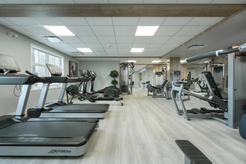 317-255 Les Jardins Park Se, Calgary, AB - Indoor Photo Showing Gym Room