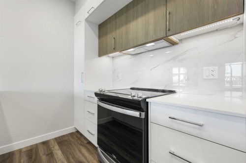 317-255 Les Jardins Park Se, Calgary, AB - Indoor Photo Showing Kitchen