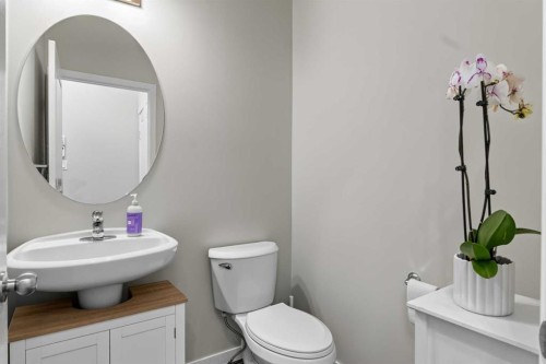 213 Mahogany Heights Se, Calgary, AB - Indoor Photo Showing Bathroom