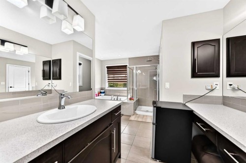 296 Nolancrest Heights Nw, Calgary, AB - Indoor Photo Showing Bathroom