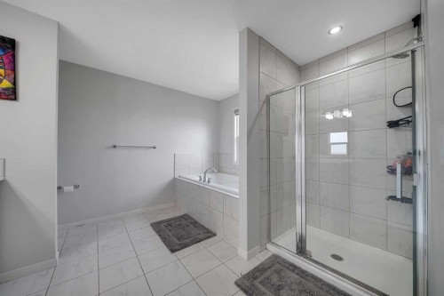 132 Howse Crescent Ne, Calgary, AB - Indoor Photo Showing Bathroom