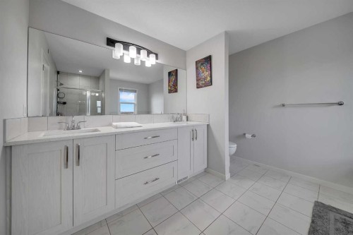 132 Howse Crescent Ne, Calgary, AB - Indoor Photo Showing Bathroom