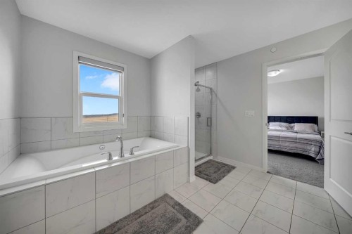 132 Howse Crescent Ne, Calgary, AB - Indoor Photo Showing Bathroom