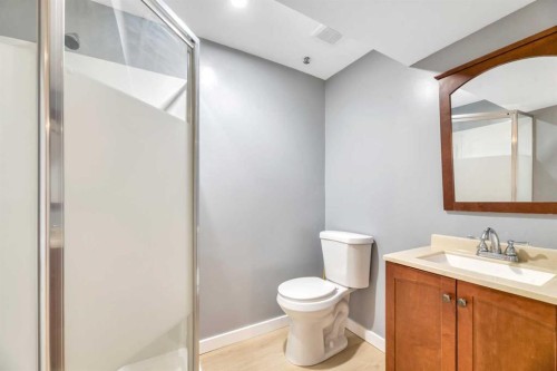 4819 Memorial Drive Se, Calgary, AB - Indoor Photo Showing Bathroom