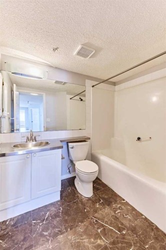 106-126 14 Avenue Sw, Calgary, AB - Indoor Photo Showing Bathroom