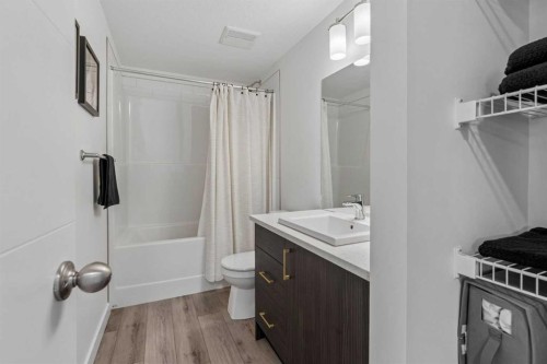 103 Spring Creek Common Sw, Calgary, AB - Indoor Photo Showing Bathroom