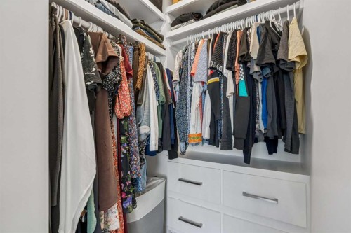 103 Spring Creek Common Sw, Calgary, AB - Indoor With Storage
