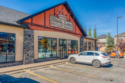 103 Spring Creek Common Sw, Calgary, AB - Outdoor