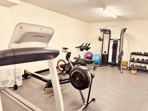 39-3519 49 Street Nw, Calgary, AB - Indoor Photo Showing Gym Room