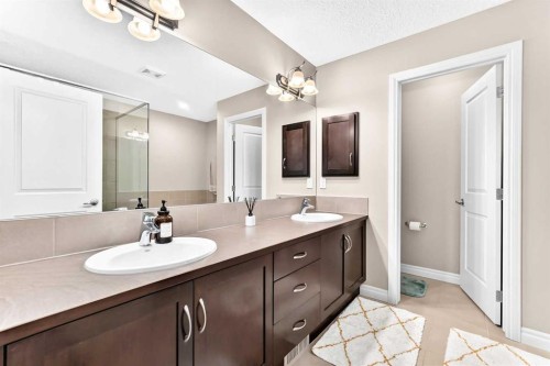 456 Mahogany Boulevard Se, Calgary, AB - Indoor Photo Showing Bathroom
