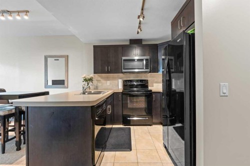 502-1410 1 Street Se, Calgary, AB - Indoor Photo Showing Kitchen With Double Sink